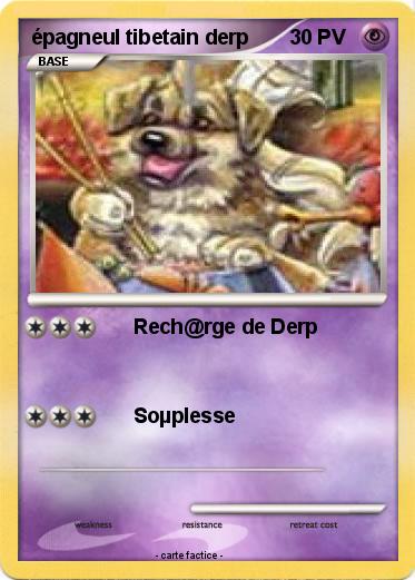 Pokemon épagneul tibetain derp