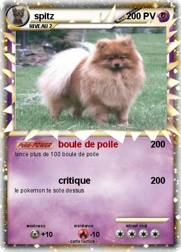 Pokemon spitz