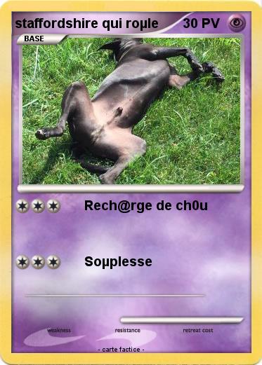Pokemon staffordshire qui roµle