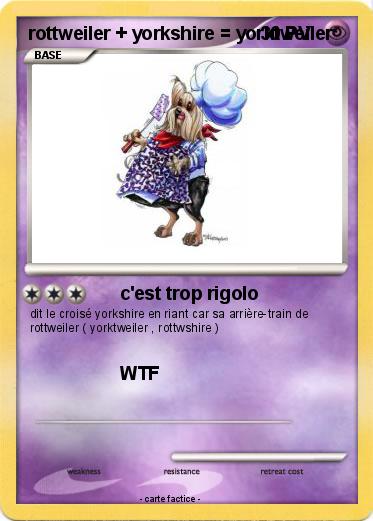 Pokemon rottweiler + yorkshire = yorktweiler
