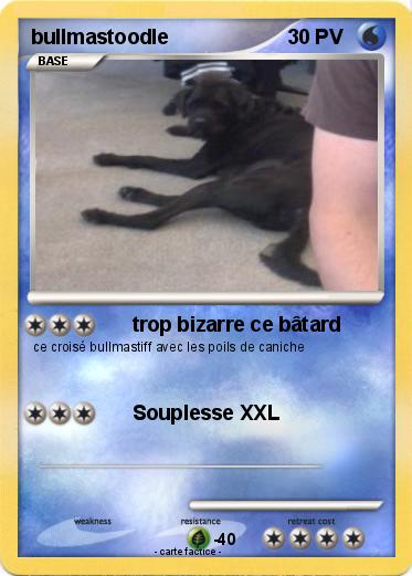 Pokemon bullmastoodle