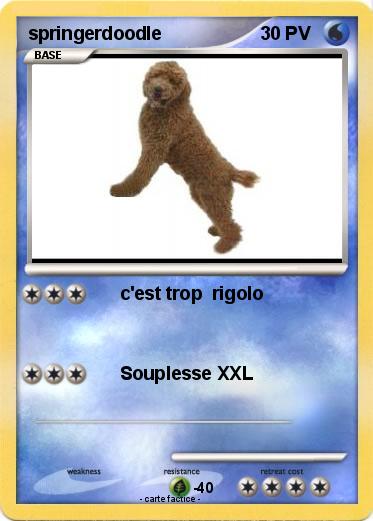 Pokemon springerdoodle