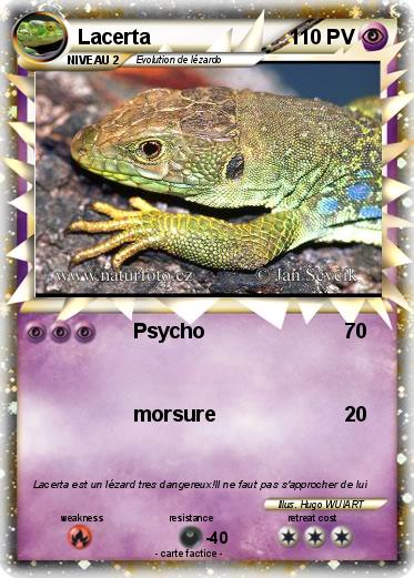 Pokemon Lacerta
