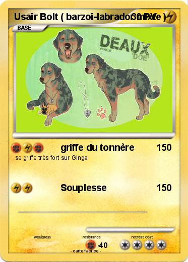 Pokemon Usair Bolt ( barzoi-labrador mixte )