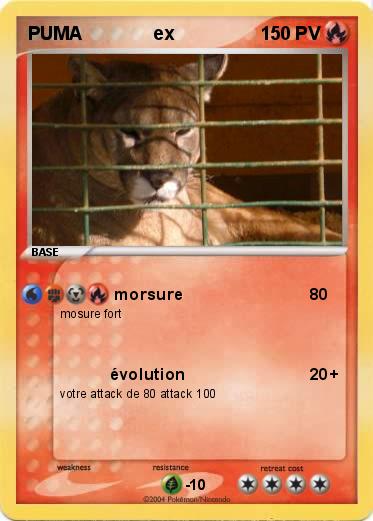 Pokemon PUMA              ex