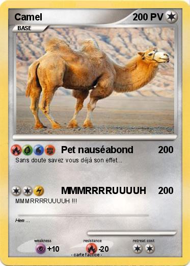 Pokemon Camel