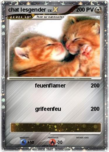 Pokemon chat lesgender