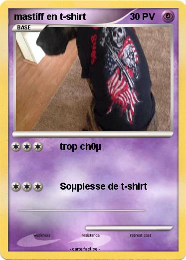 Pokemon mastiff en t-shirt