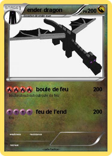 Pokemon ender dragon