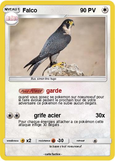 Pokemon Falco