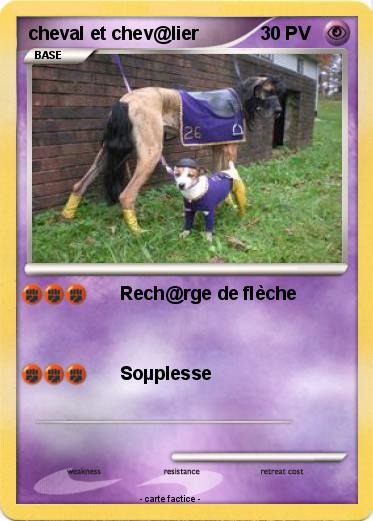 Pokemon cheval et chev@lier
