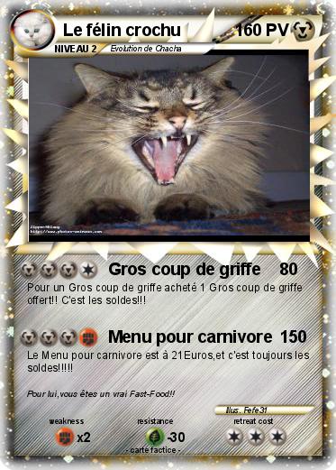 Pokemon Le félin crochu