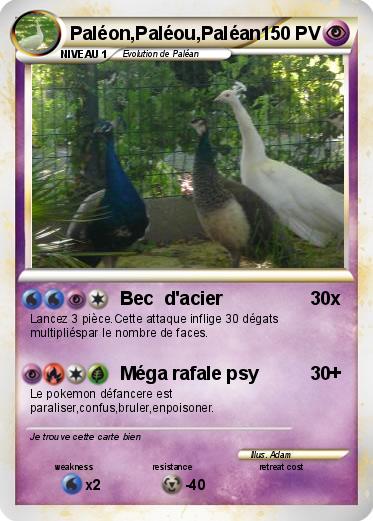 Pokemon Paléon,Paléou,Paléan