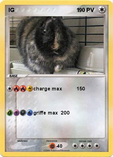 Pokemon IG                                        1