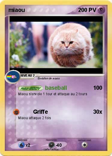 Pokemon miaou