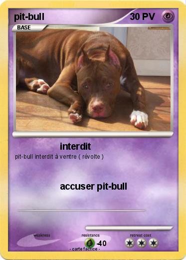 Pokemon pit-bull