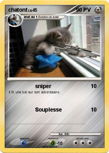 Pokemon chatont