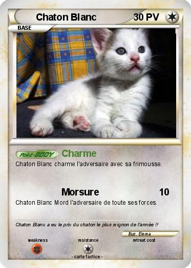 Pokemon Chaton Blanc