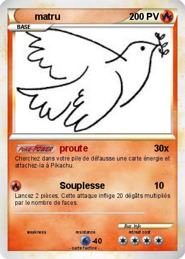 Pokemon matru
