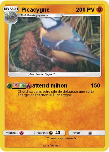 Pokemon Picacygne
