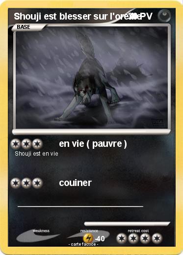 Pokemon Shouji est blesser sur l'oreille