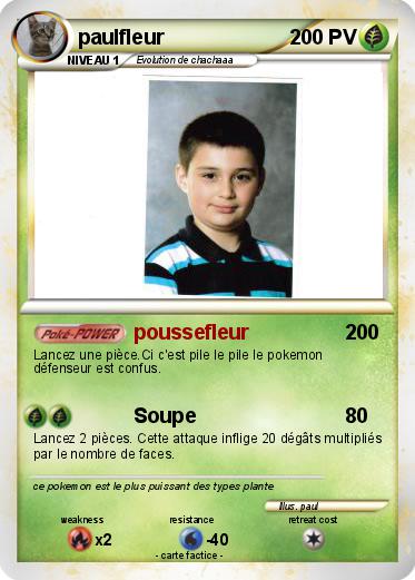 Pokemon paulfleur
