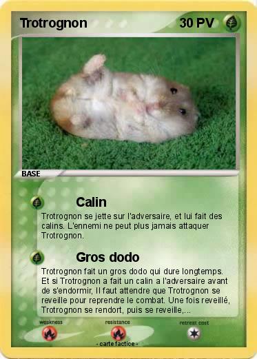 Pokemon Trotrognon