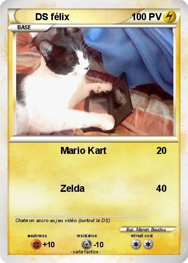 Pokemon DS félix