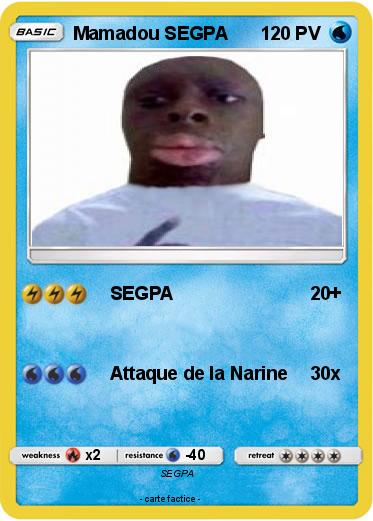 Pokemon Mamadou SEGPA