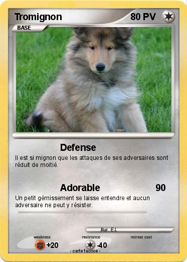 Pokemon Tromignon