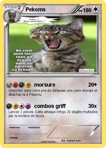 Pokemon Pekoms