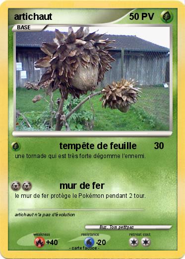 Pokemon artichaut