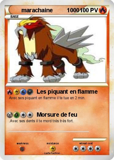 Pokemon marachaine         1000