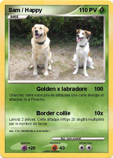 Pokemon Sam / Happy