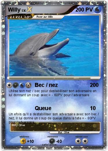 Pokemon Willy