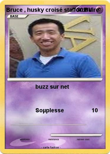 Pokemon Bruce , husky croisé staffordshire