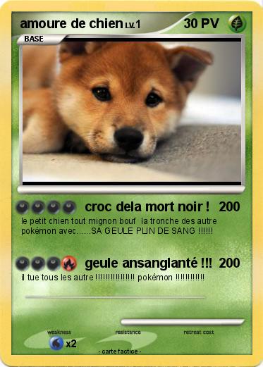 Pokemon amoure de chien