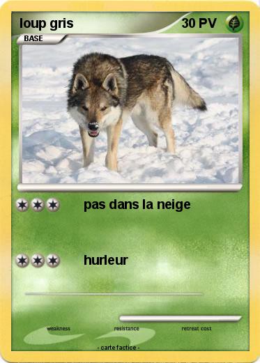 Pokemon loup gris