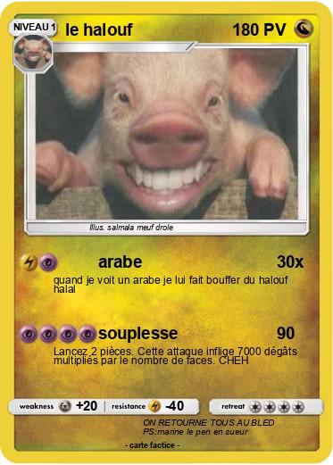 Pokemon le halouf
