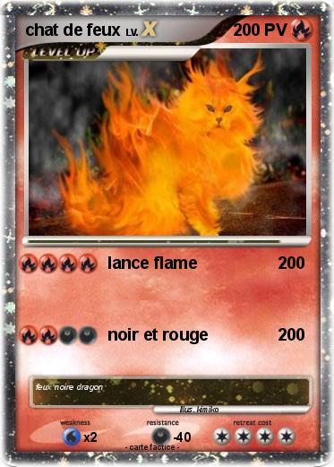 Pokemon chat de feux