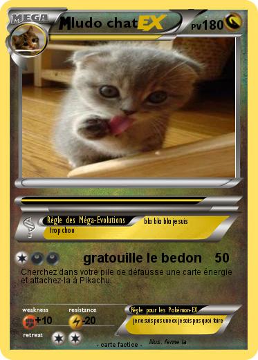Pokemon ludo chat
