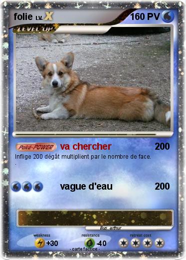 Pokemon folie