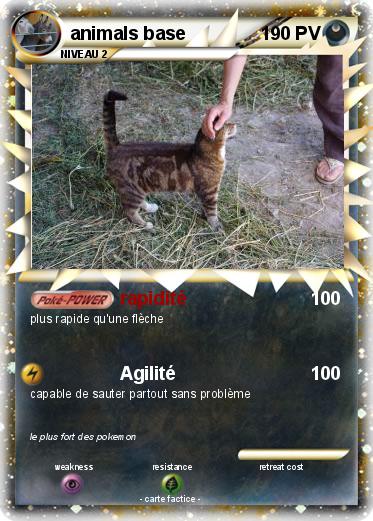 Pokemon animals base