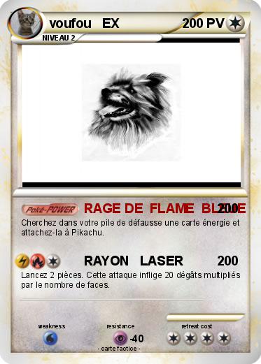 Pokemon voufou   EX