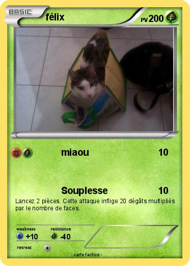 Pokemon félix