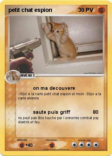 Pokemon petit chat espion