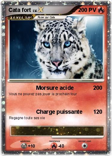 Pokemon Cata fort