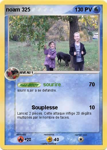 Pokemon noam 325