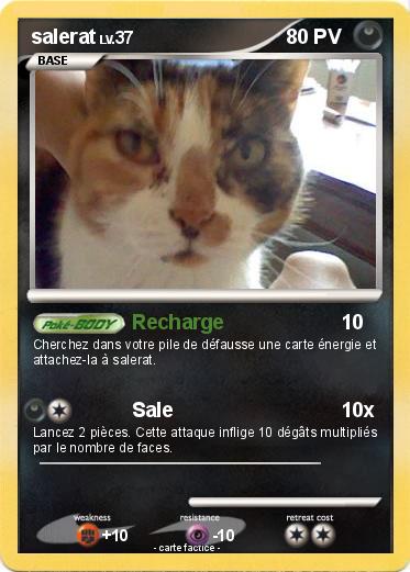 Pokemon salerat