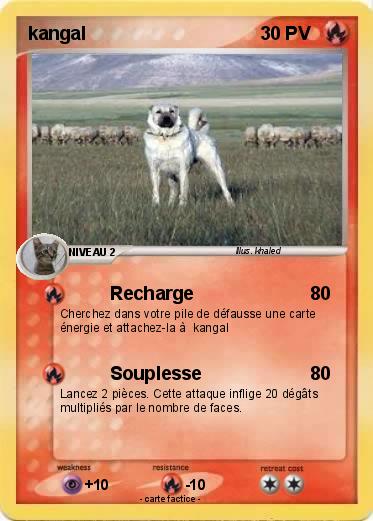 Pokemon kangal